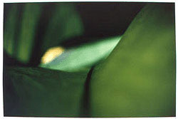 photo abstract