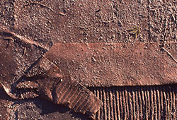 photo cardboard abstract